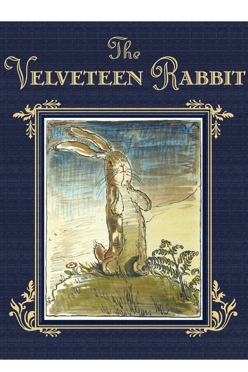 Velveteen Rabbit book cover